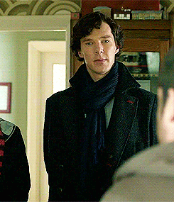 tumblr_mywhx2ztBn1qi86x2o1_250