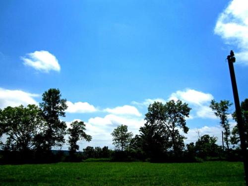 11029513_861904697219036_8224868901570629708_n