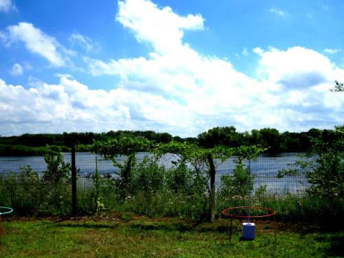 11760281_861908497218656_2991041856122985772_n